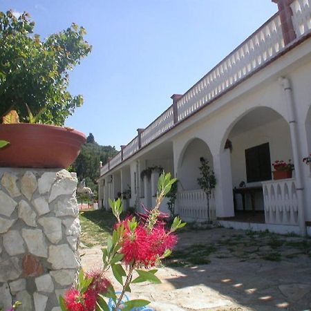 B&B La Formichina Peschici Exterior foto