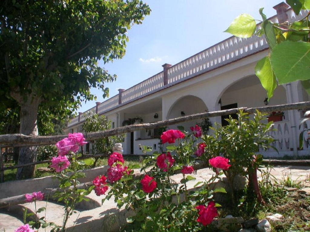 B&B La Formichina Peschici Exterior foto