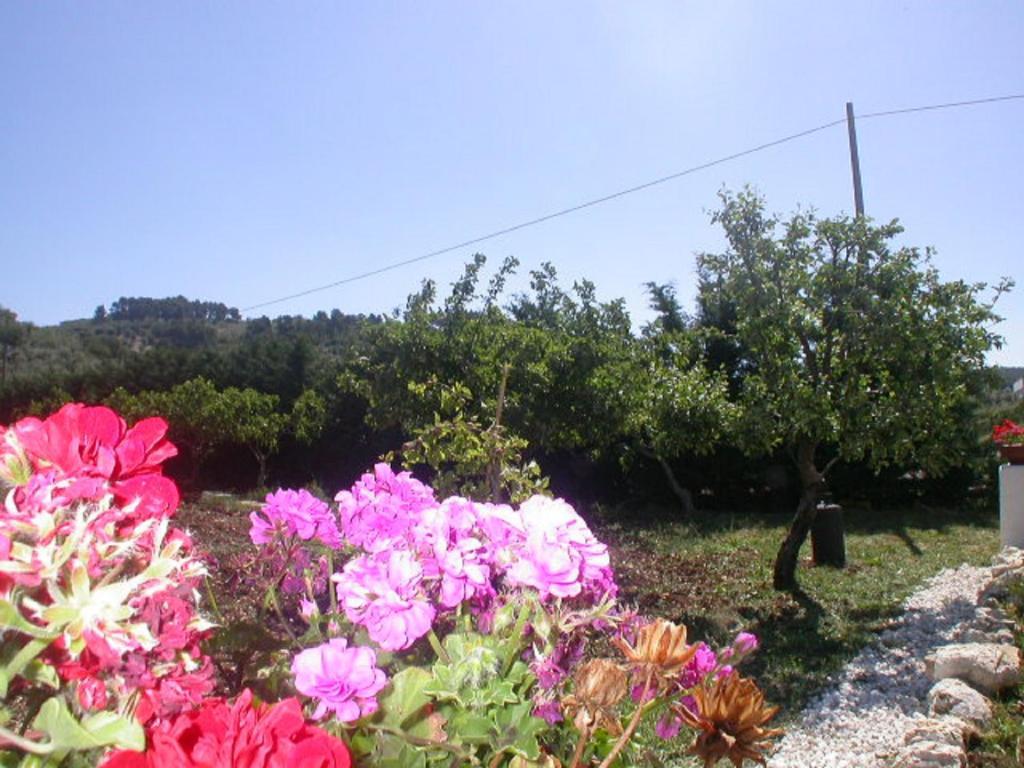B&B La Formichina Peschici Exterior foto